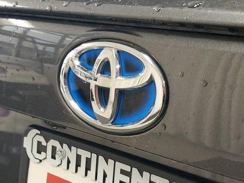 2019 Toyota RAV4 Hybrid LE