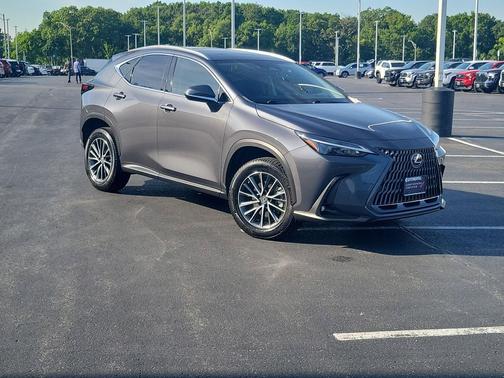 Cloudburst Gray 2022 Lexus NX 350h Premium
