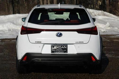 2020 Lexus UX 250h F Sport