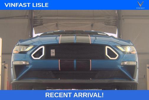 Blue Metallic 2019 Ford Mustang GT Premium