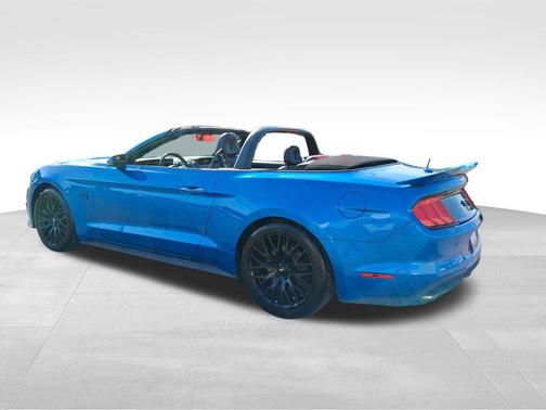 Blue Metallic 2019 Ford Mustang GT Premium