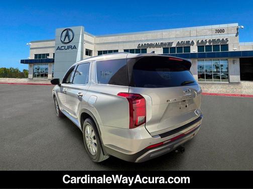 Typhoon Silver 2023 Hyundai PALISADE SEL