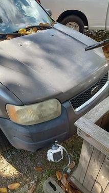 Gray 2004 Ford Escape XLT