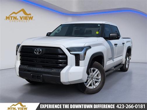 Ice 2024 Toyota Tundra SR5