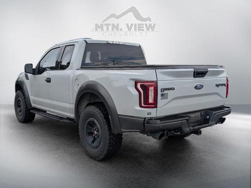 2017 Ford F-150 Raptor