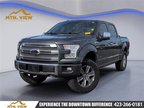2015 Ford F-150 Platinum