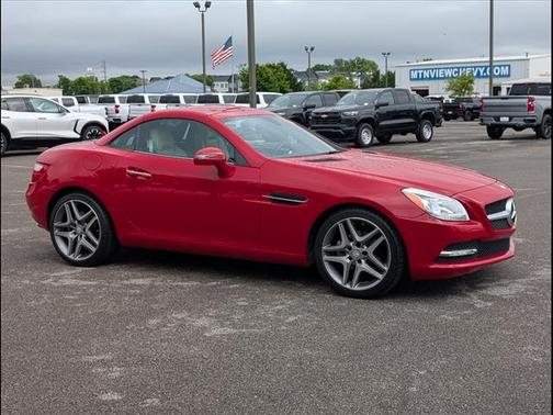 2013 Mercedes-Benz SLK-Class SLK 250