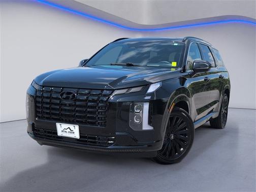 Abyss Black Pearl 2024 Hyundai PALISADE Calligraphy Night Edition