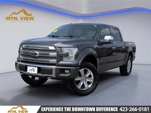 2015 Ford F-150 Platinum