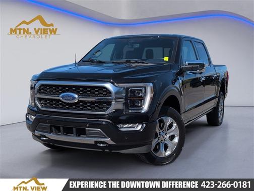 Black Metallic 2023 Ford F-150 Platinum