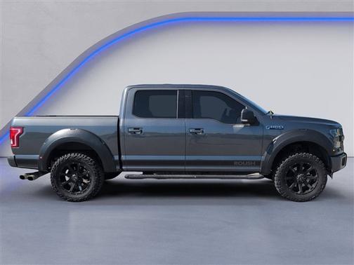 Magnetic 2016 Ford F-150 XLT