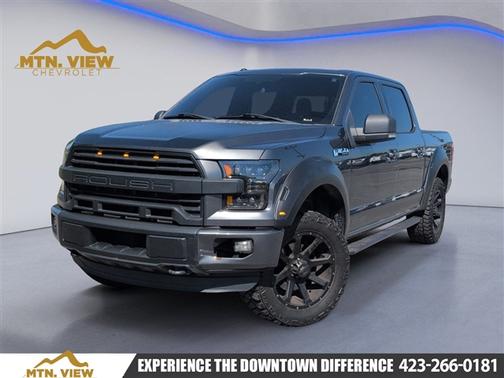 Magnetic 2016 Ford F-150 XLT