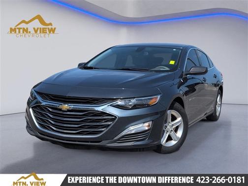 Shadow Gray Metallic 2020 Chevrolet Malibu 1LS