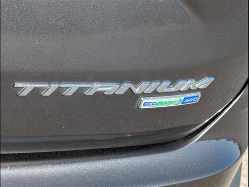 Magnetic 2019 Ford Edge Titanium