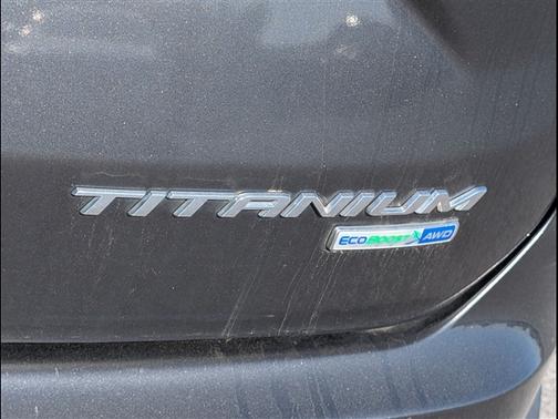 Magnetic 2019 Ford Edge Titanium