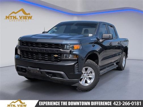 Shadow Gray Metallic 2020 Chevrolet Silverado 1500 WT
