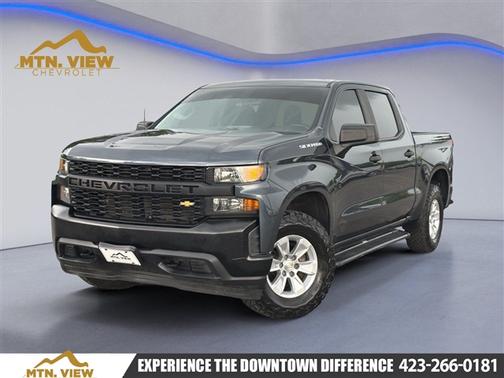 Shadow Gray Metallic 2020 Chevrolet Silverado 1500 WT