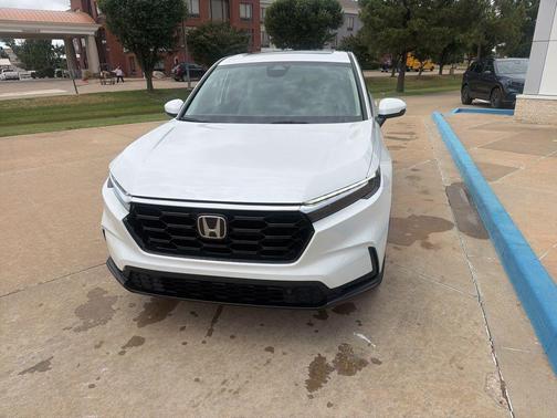 Platinum White 2026 Honda CR-V EX-L 2WD