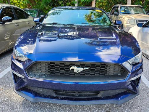 2019 Ford Mustang EcoBoost
