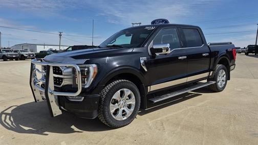 2022 Ford F-150 Platinum