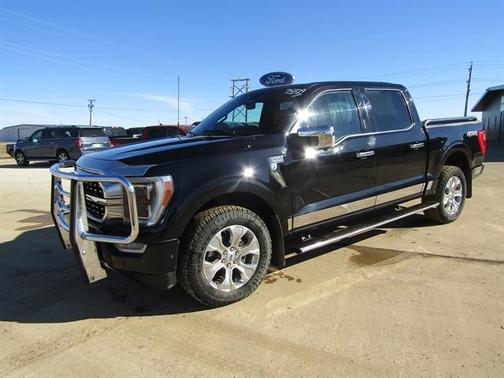 2022 Ford F-150 Platinum