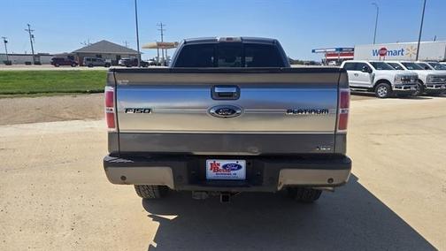 2010 Ford F-150 Platinum SuperCrew