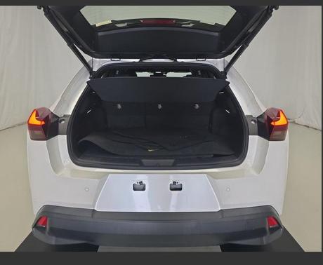 2020 Lexus UX 250h Base
