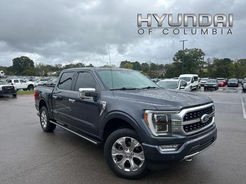 2021 Ford F-150 Platinum