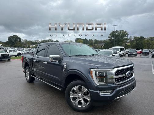2021 Ford F-150 Platinum