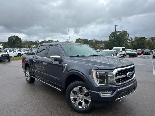 2021 Ford F-150 Platinum