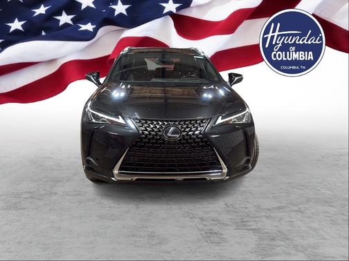 2019 Lexus UX 250h 