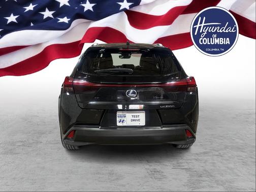 2019 Lexus UX 250h 