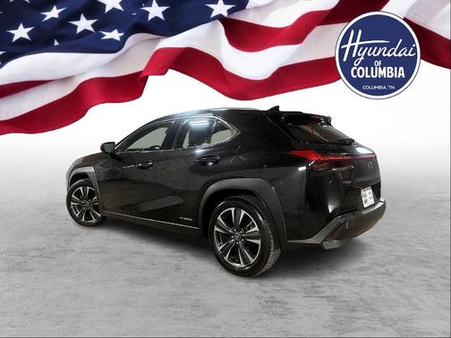 2019 Lexus UX 250h 