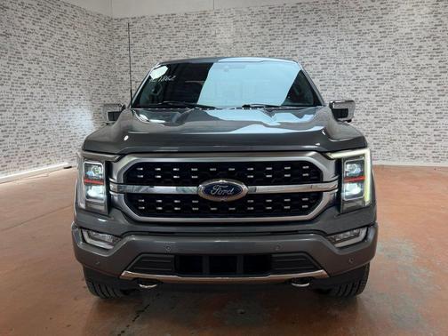 Gray Metallic 2021 Ford F-150 Platinum