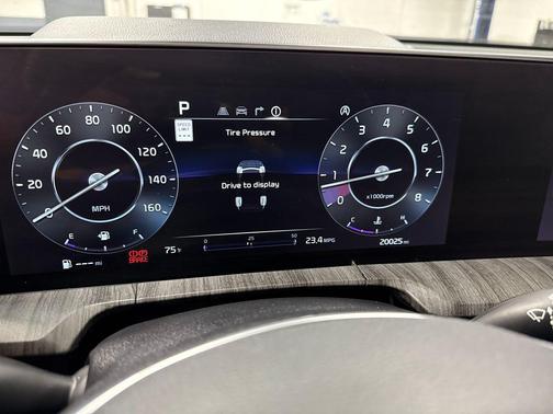 Panthera Metal 2025 Kia Telluride SX