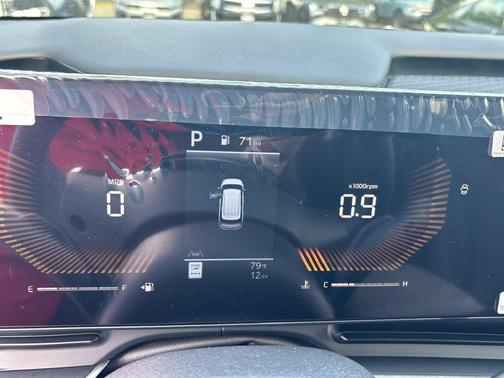 Panthera Metal 2026 Kia Carnival LXS