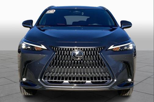2025 Lexus NX 250 Premium