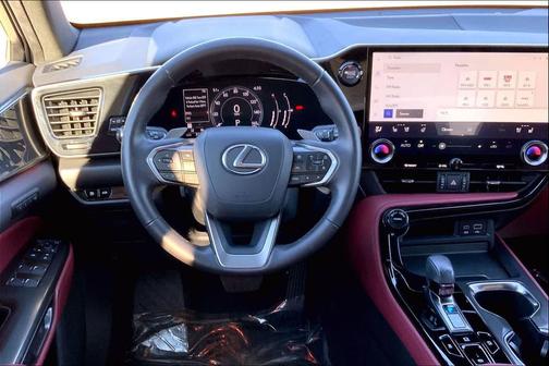 2025 Lexus NX 250 Premium