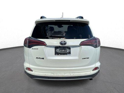 Blizzard Pearl 2017 Toyota RAV4 Limited