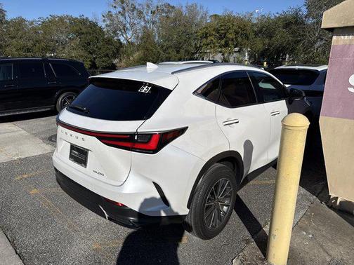 2025 Lexus NX 250 Premium