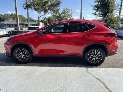2025 Lexus NX 250 Premium