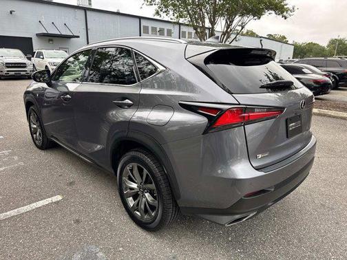 Nebula Gray Pearl 2020 Lexus NX 300 F Sport