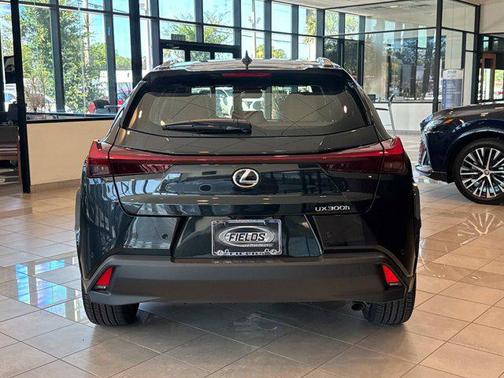 2025 Lexus UX 300h Premium