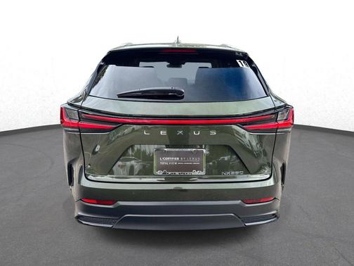 Green Pearl 2025 Lexus NX 250 Premium