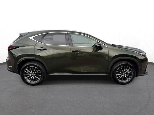 Green Pearl 2025 Lexus NX 250 Premium