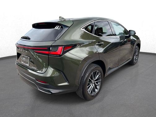 Green Pearl 2025 Lexus NX 250 Premium