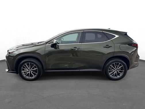 Green Pearl 2025 Lexus NX 250 Premium