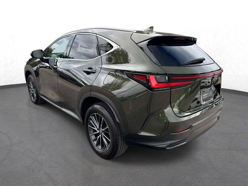 Green Pearl 2025 Lexus NX 250 Premium