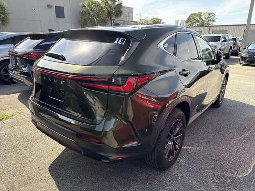 Green Pearl 2025 Lexus NX 250 Premium