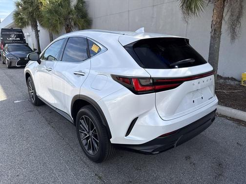 Pear 2025 Lexus NX 250 Premium